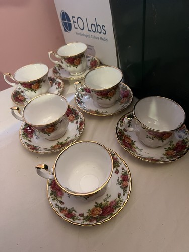 Old country roses - tea, and