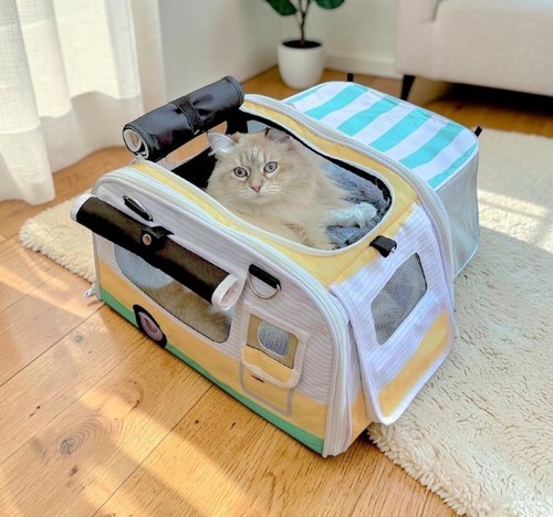 Expandable cat carrier - expandable,