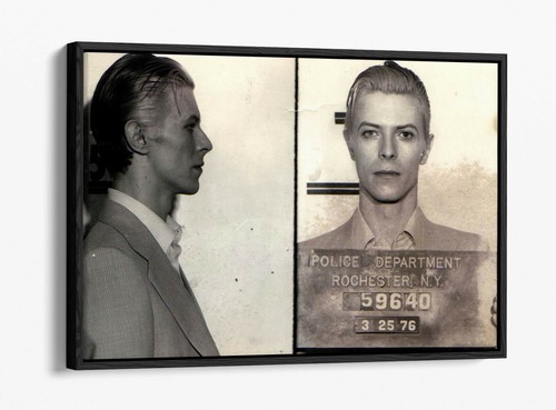 David bowie mugshot float - david,