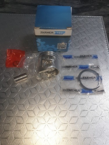 Piston and rings fits - piston,