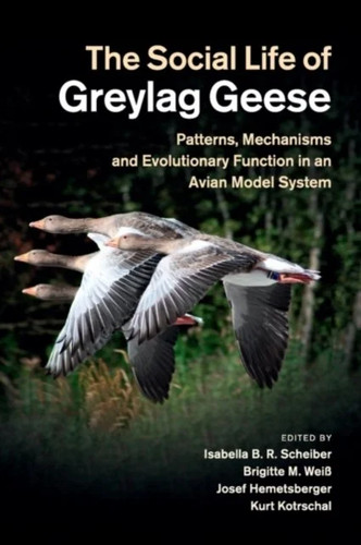 The social life greylag - the,