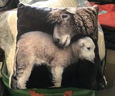 CUTE MOTHER BABY SHEEP FACE