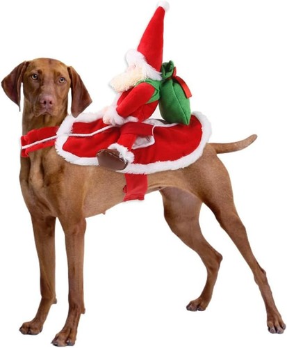 Funny dog santa - dog, riding