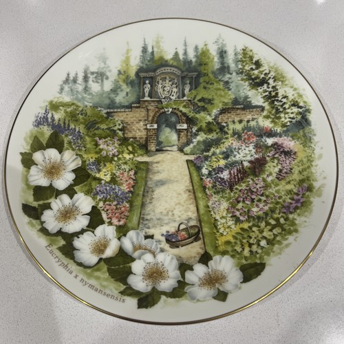 Wedgewood plate - wedgewood,