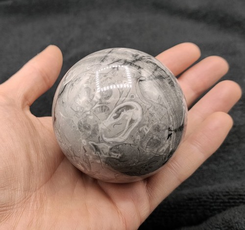 Shell stone jasper sphere grey - shell,