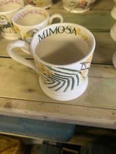 Emma Bridgewater Trees And Leaves Mimosa Half Pint Mug.Brand New.First,