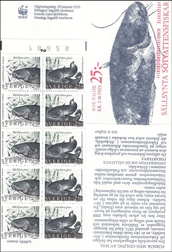 Wels catfish mal silurus - wels,