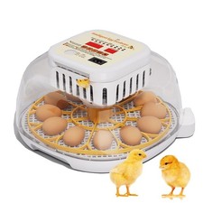 Domigard Egg Incubators, Chicken Egg Poultry 12-24 Eggs Automatic Turning