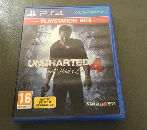 Uncharted thiefs end - a,