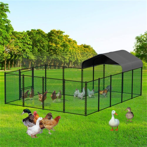 Xxl metal chicken coop - coop, walk-in