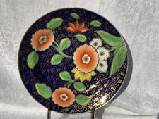 RARE THOMAS PADROE COALPORT - SWANSEA BOTANIC PLATE c 1795 - 20