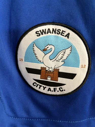 Swansea city football club - swansea,