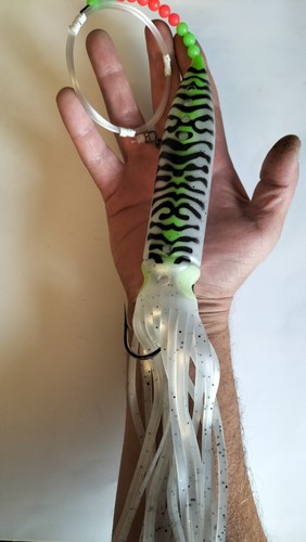 31cm giant sea fishing - giant,