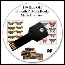 Butterflies 190 Rare Vintage & Antique Old Books on USB. High Res Images Insects