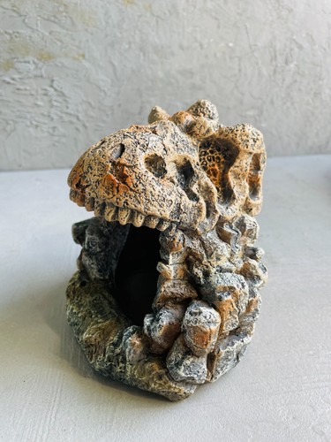Dino skull cave terrarium - terrarium, &