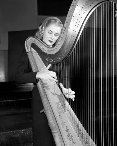Radio harpist elaine vito - radio,
