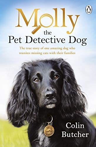 Molly the pet - molly,