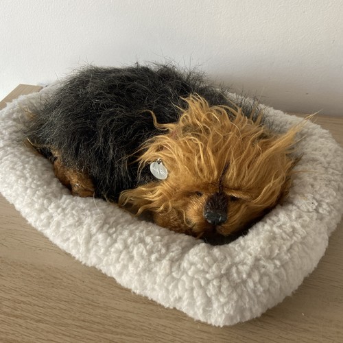 Perfect petzzz yorkshire - perfect,
