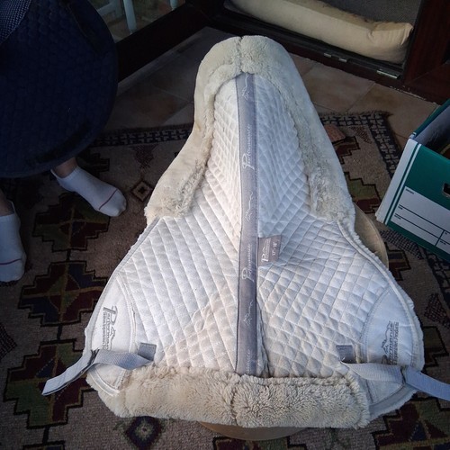 Shires performance fully lined - shires,