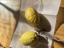 2 x Penkridge Ceramics Lemons
