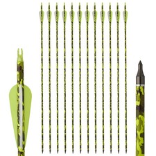 30'' Carbon Arrows SP500 12PCS