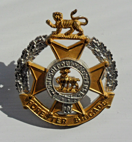 The forester brigade officer - forester, officer's