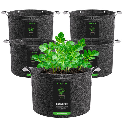 Vivosun plant grow - plant,