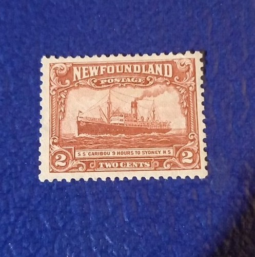 Newfoundland 1928 cents ss - 1928, cents,