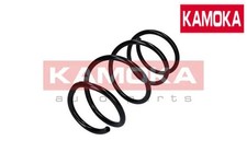 FRONT COIL SPRING 2110298