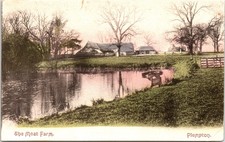 Plumpton Scenic Farm Country