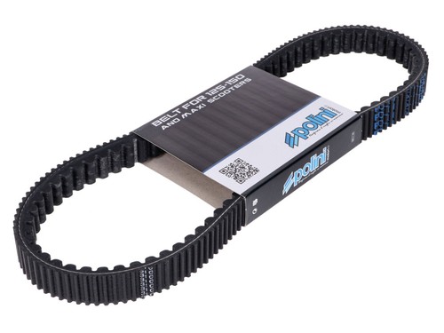 Drive belt polini maxi - drive,