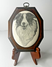 RARE Vintage Border Collie Dog