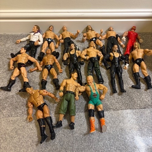 Wwe action figure - wwe, bundle