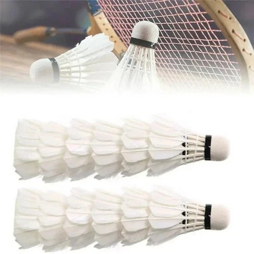 12pcs training goose - 12pcs,