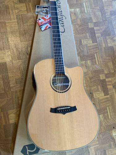 Tanglewood winterleaf tw5cena - tanglewood,