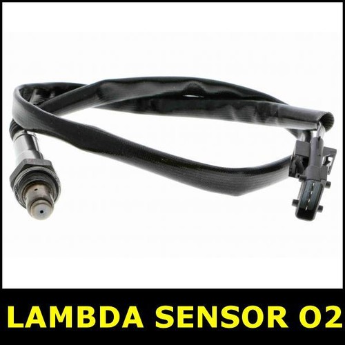 Lambda sensor before - sensor, cat