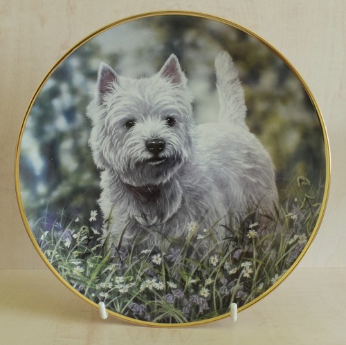 Danbury mint dog - mint,
