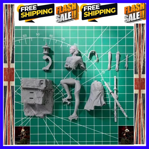 Scale die cast resin - 1/24, die-cast