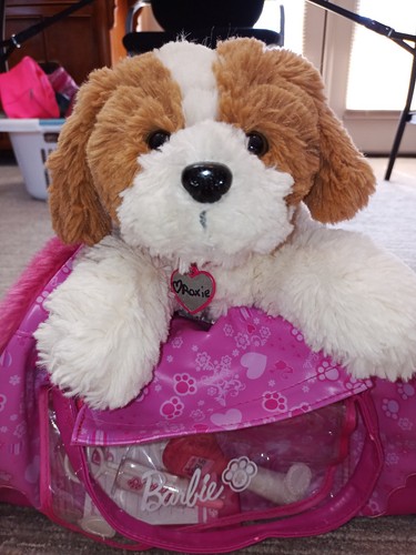 Barbie hug heal pet - 'n,