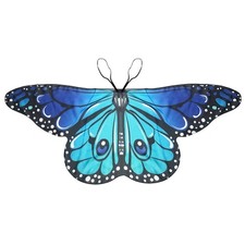 Costume Dress Butterfly Wings