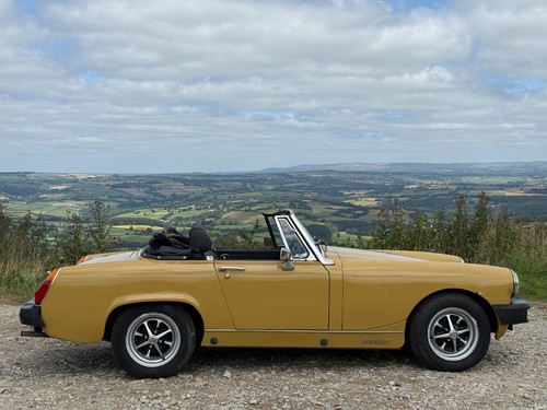 1975 midget 1500 sports - 1975,
