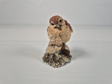 Border Fine Arts Baby Wren WB63 Russell Willis Collection c1992 Figure Ornament 