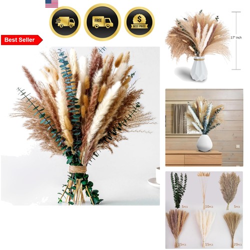 Pampas grass decor dried - pampas,