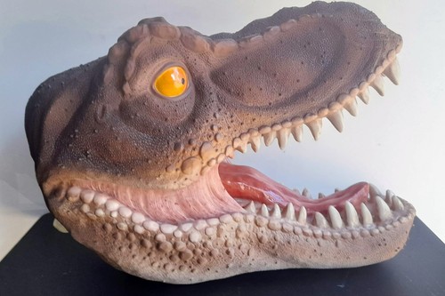 Trex dinosaur skull - trex,