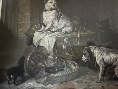 Jack the office - office, landseer