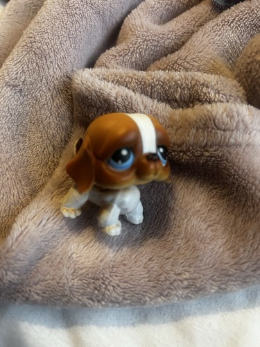 Lps littlest pet shop - pet,