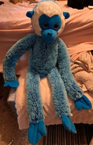 Large monkey teddy - monkey,