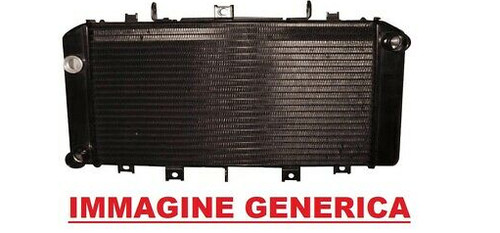 Water radiator suzuki 650 - water, s