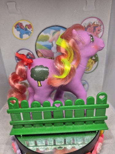Little pony windy - my,