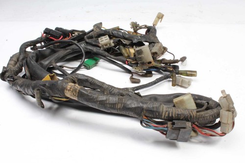 Wiring harness main - main,
